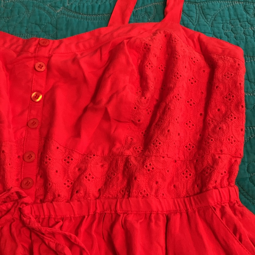 Torrid Dress - Picture 4 of 5
